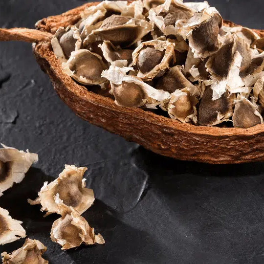 Samen von Moringa Oleifera: wofür sind sie nützlich und wo findet man sie