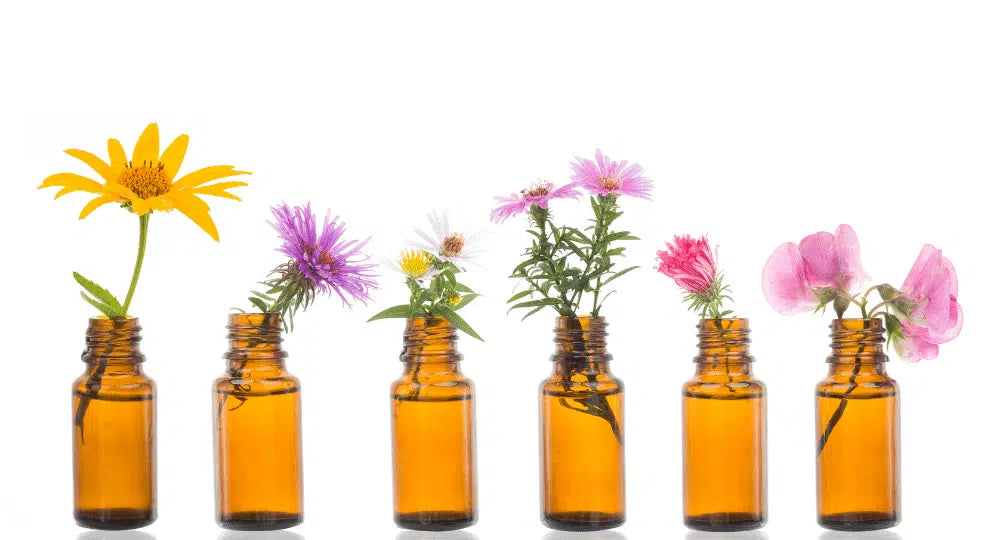 Insomnie: Naturheilmittel zum Schlafen nach der Wissenschaft