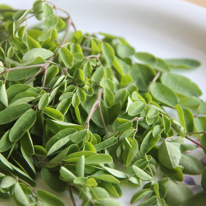 Wir widerlegen Gerüchte und falsche Mythen über die Eigenschaften von Moringa