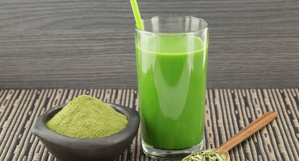 Detox-Smoothies: Moringa, Grünkohl, Acai und Heidelbeeren