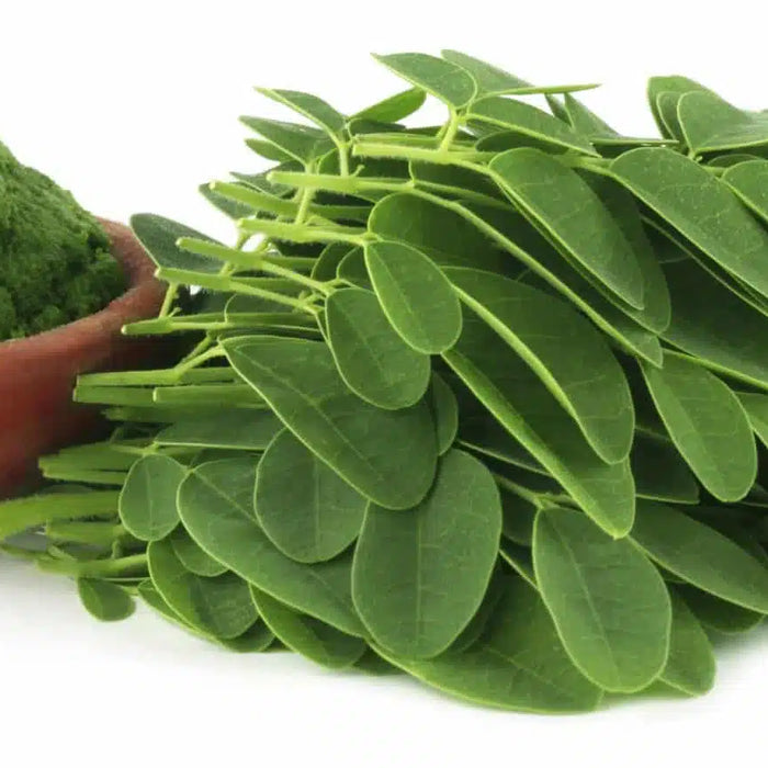 Studien zu den Beziehungen zwischen Moringa und Krebs