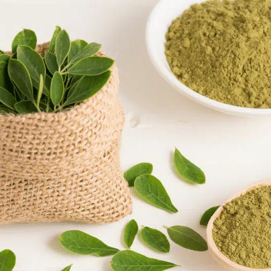 Wie trocknet man Moringa-Blätter