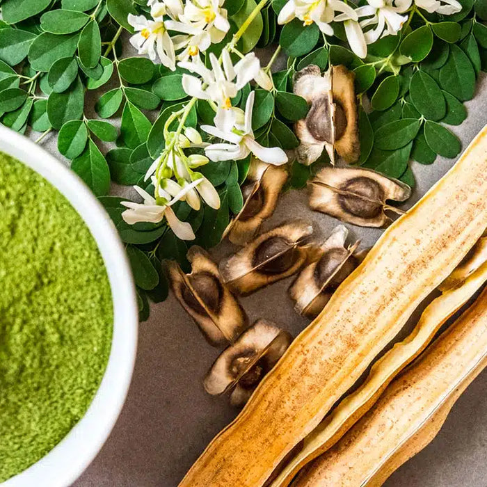 Handsanitizer-Gel mit Moringa-Duft: Warum es wählen