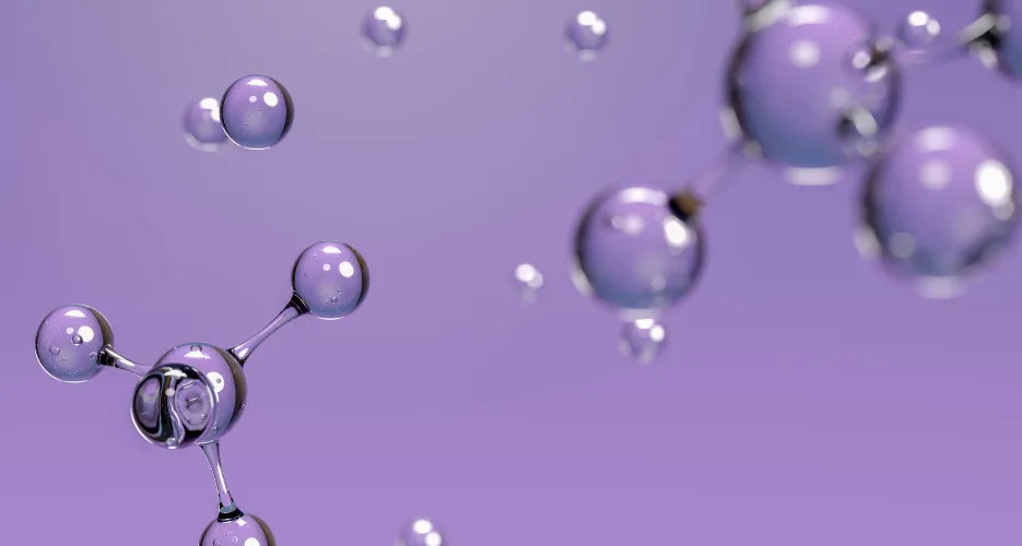 Phosphatidylserin oder Ashwagandha gegen Kortisol: Was wählen?