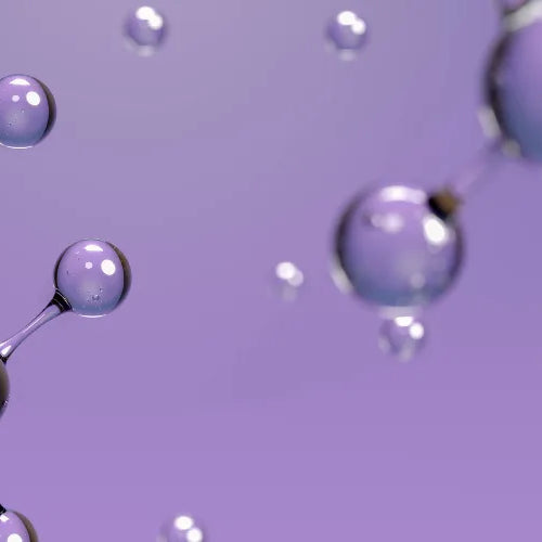 Phosphatidylserin oder Ashwagandha gegen Cortisol: Was wählen?