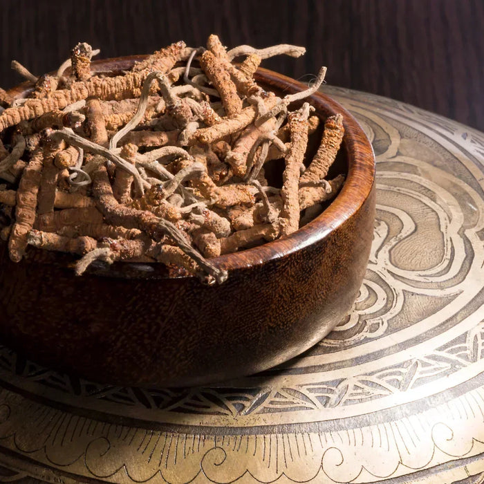 Cordyceps: proprietà, benefici e controindicazioni