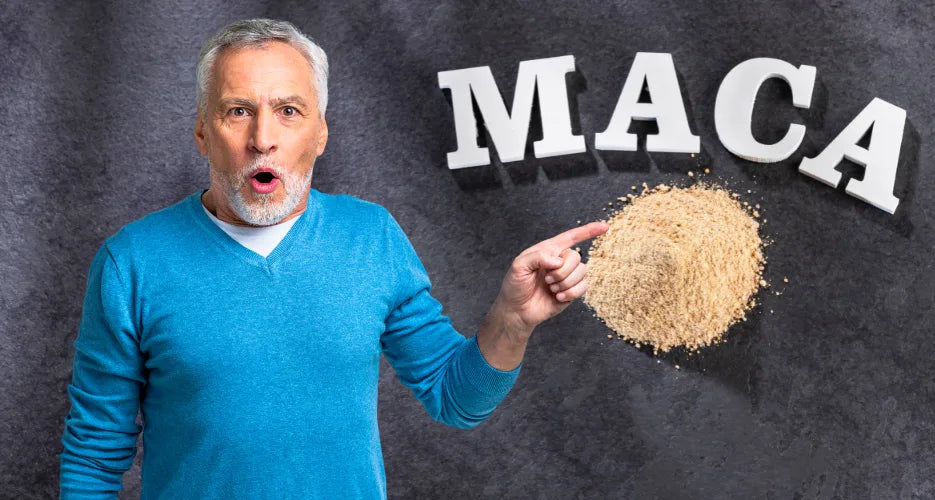 Maca für Männer über 40: Vitalität, Testosteron und Andropause
