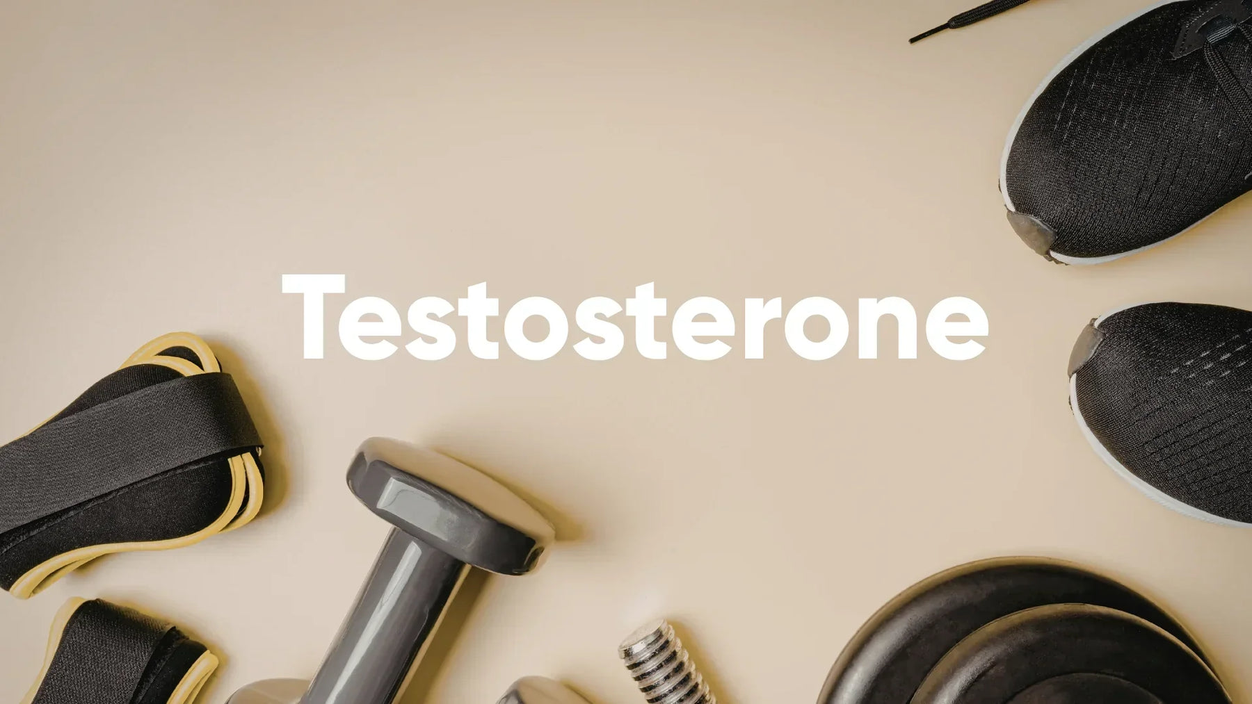 Was ist Testosteron und wie reagiert es auf Cortisol?
