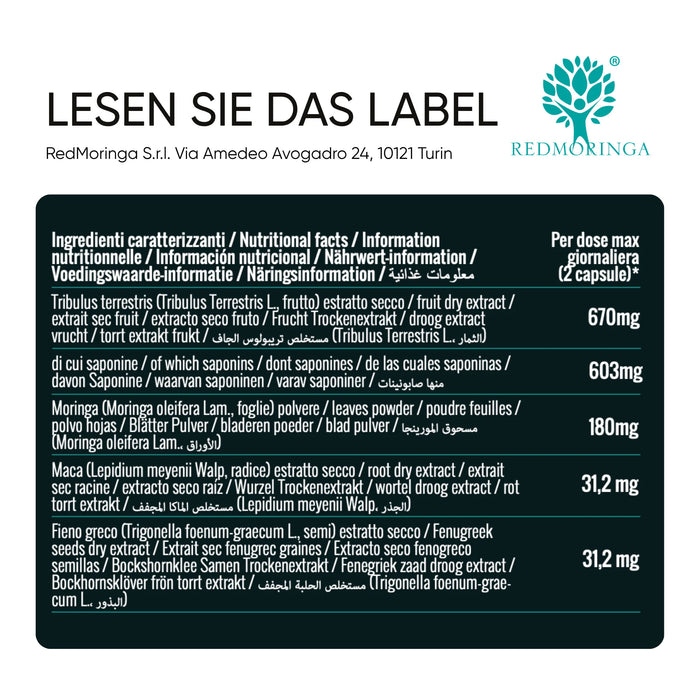 Fitness-Set In&Out | Energia oder Inca Force + kräftigendes Shampoo + Duschgel mit Moringa