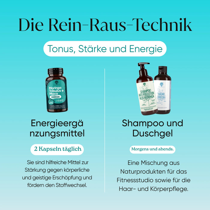Fitness-Set In&Out | Energia oder Inca Force + kräftigendes Shampoo + Duschgel mit Moringa