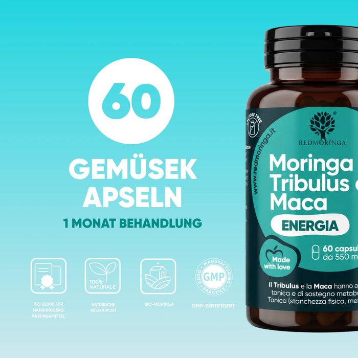 Fitness-Set In&Out | Energia oder Inca Force + kräftigendes Shampoo + Duschgel mit Moringa