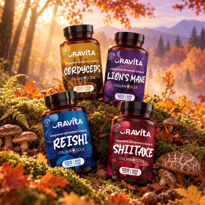 Oravita MUSH KIT – 4 Pilzextrakte, standardisiert – Cordyceps | Reishi | Lion's Mane | Shiitake
