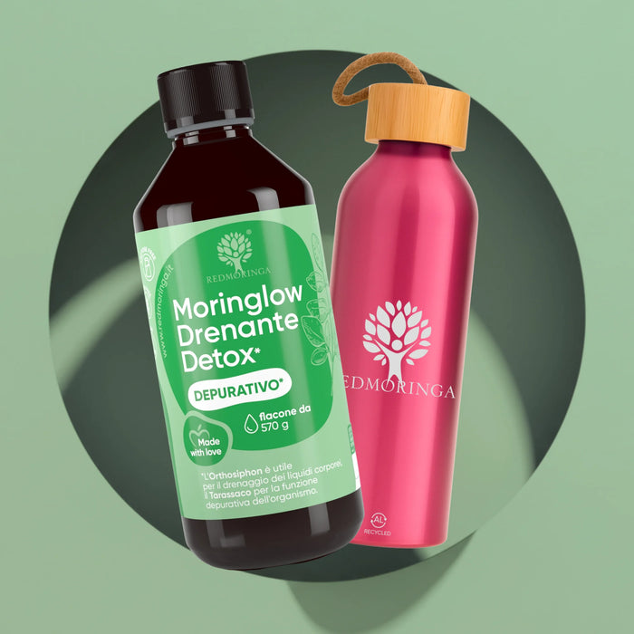 MORINGLOW – Flüssiges Präparat mit Ananas, Bio-Moringa, Orthosiphon, Löwenzahn und Grüntee | 500 ml, ohne Süßstoffe