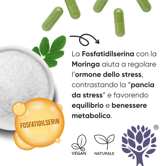 Phosphatidylserin 450 mg + Moringa | Cortisol, Stress