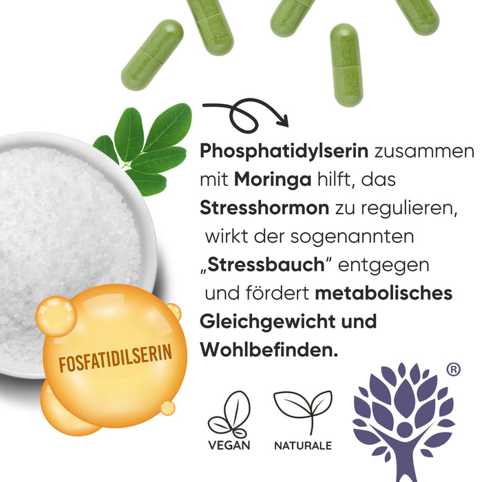 Phosphatidylserin 450 mg + Moringa | Cortisol, Stress