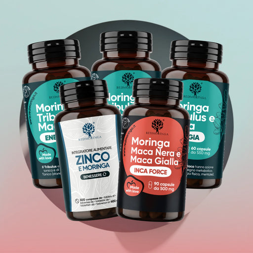 INCA BOOST Set von RedMoringa: fünf Dosen mit Moringa Tribulus und Maca Energia, Zink und Moringa sowie INCA FORCE