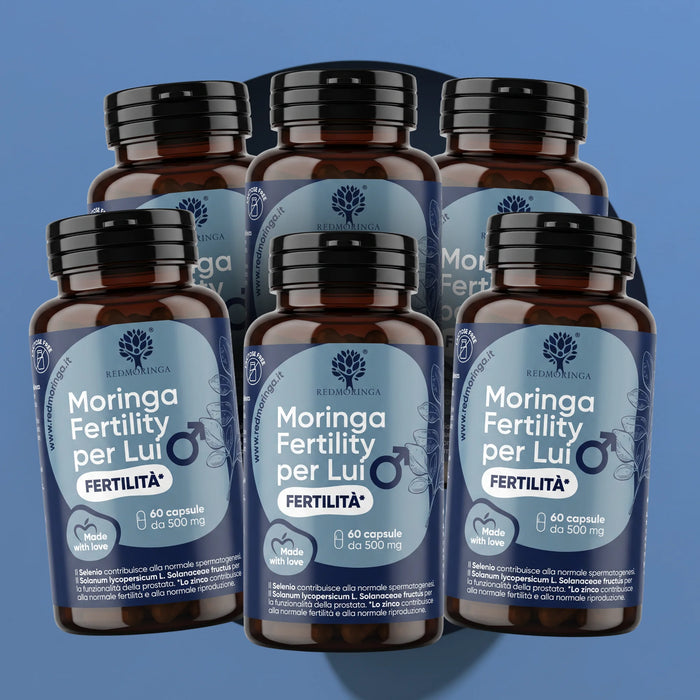 Fertility für Ihn: Zink, Selen, Folsäure, Lycopin, Q10, Arginin, Carnitin + Bio-Moringa | Selen trägt zu einer normalen Spermabildung bei