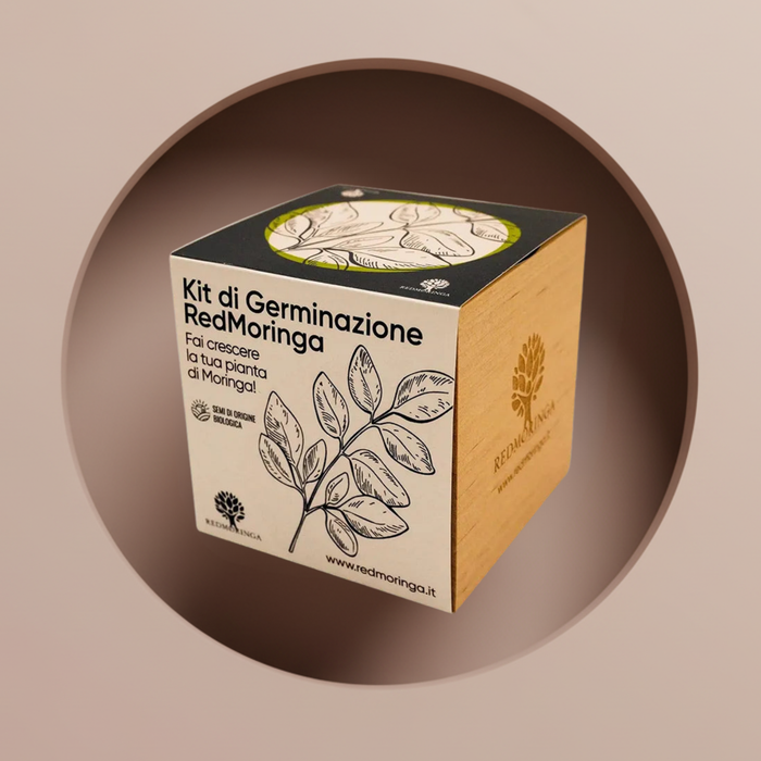 Pianta di Moringa | Kit Semi in EcoCube