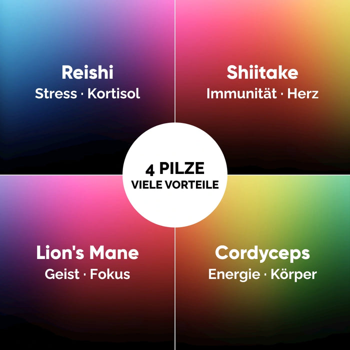 4 Pilze Kit: Reishi für Stress, Shiitake für Immunität, Lion's Mane für Geist, Cordyceps für Energie