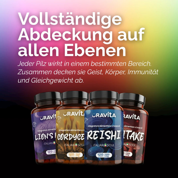 4 Pilze Kit ORAVità: vollständige Abdeckung auf allen Ebenen – Geist, Körper, Immunität, Gleichgewicht