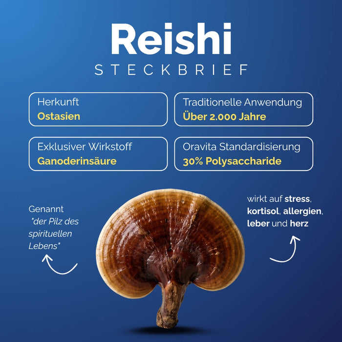 Kit 4 Pilze – Reishi Steckbrief: Ganoderinsäure, 30% Polysaccharide, Stress und Herzgesundheit