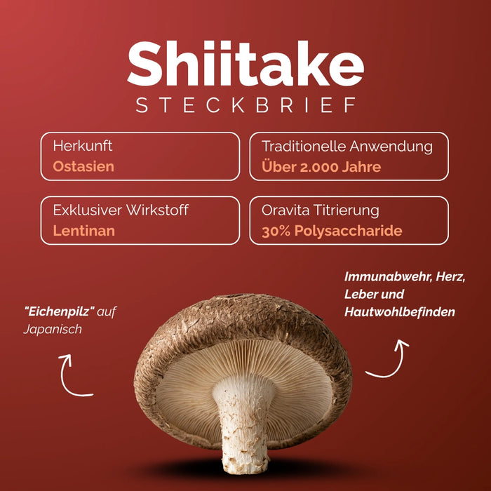 Kit 4 Pilze – Shiitake Steckbrief: Lentinan, 30% Polysaccharide, Immunabwehr und Herzgesundheit