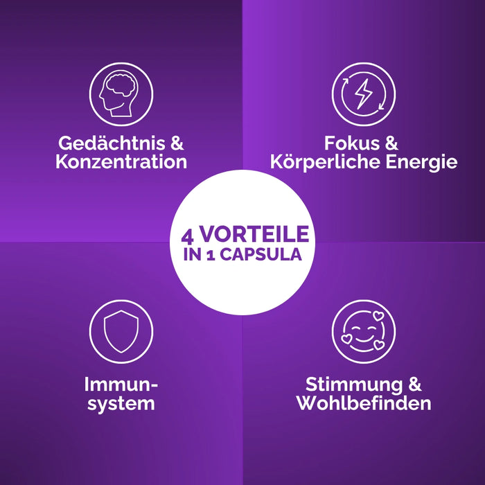 Lion's Mane Kapseln: 4 Vorteile in 1 Kapsel – Gedächtnis, Konzentration, Fokus, Energie und Wohlbefinden