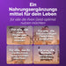 Lion's Mane Nahrungsergänzung für alle, die studieren, Deadlines haben oder ihr Gedächtnis unterstützen wollen