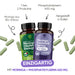 Low Cortisol Set: Moringa und Phosphatidylserin 400 mg