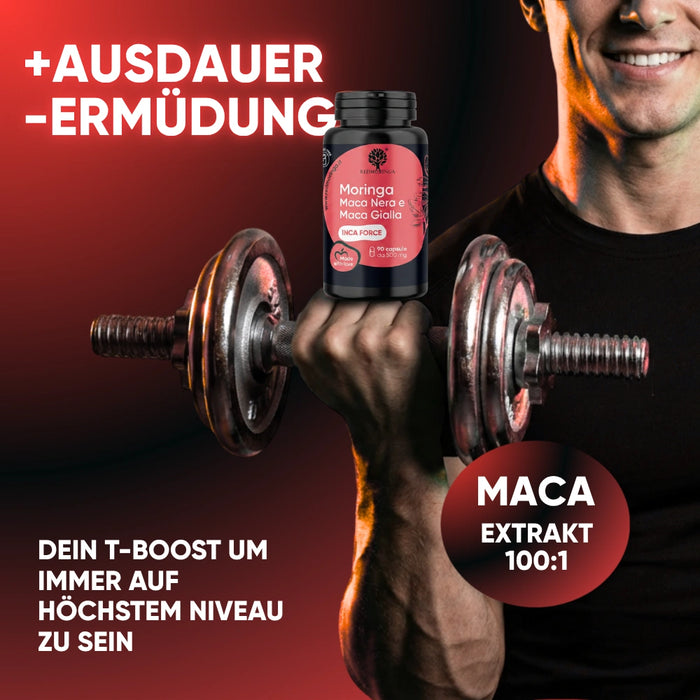 Schwarze Maca Extrakt 100:1 – der natürliche T-Boost für Ausdauer, weniger Ermüdung und maximale Leistung