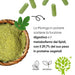 Moringa-Pulver mit hohem Protein- und Ballaststoffgehalt