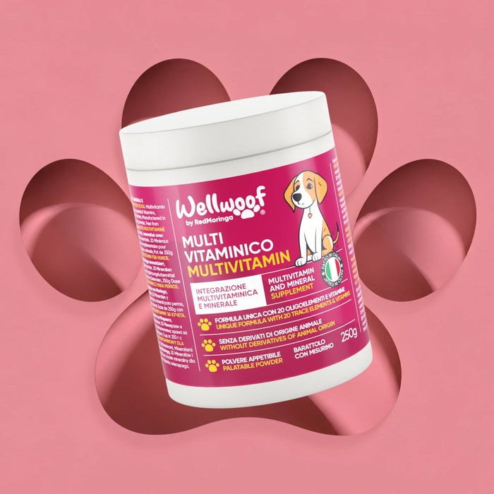 Komplettes Multivitamin-Nahrungsergänzungsmittel für Hunde | 20 Vitamine und Mineralstoffe mit Bio-Moringa