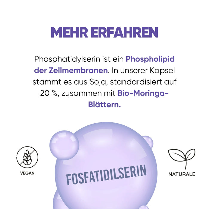 Phosphatidylserin, ein Phospholipid der Zellmembranen, mit Bio-Moringa