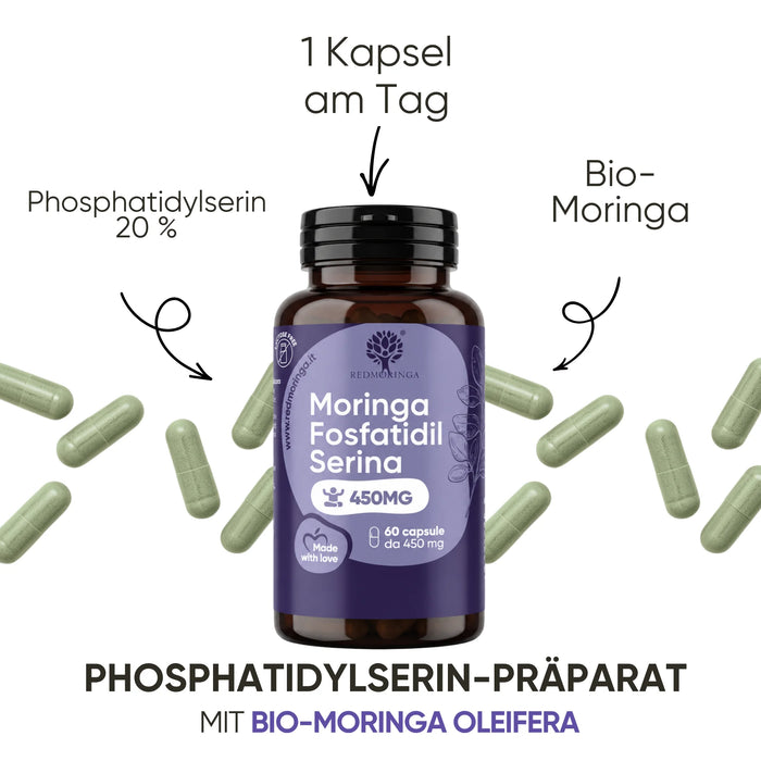 Phosphatidylserin-Präparat mit Bio-Moringa Oleifera, 1 Kapsel am Tag