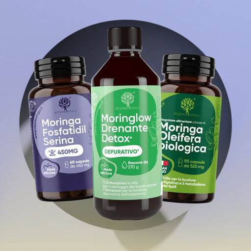 Low Cortisol Set für Sie RedMoringa: Moringa Phosphatidylserin, Moringlow Drink und Bio-Moringa Oleifera Kapseln