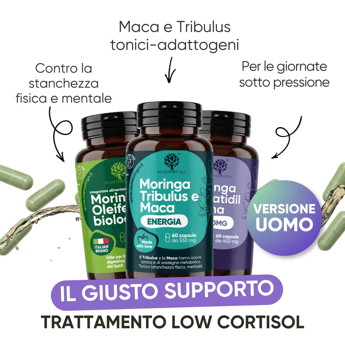 Low Cortisol Set für Ihn: Phosphatidylserin, Moringa, Maca und Tribulus