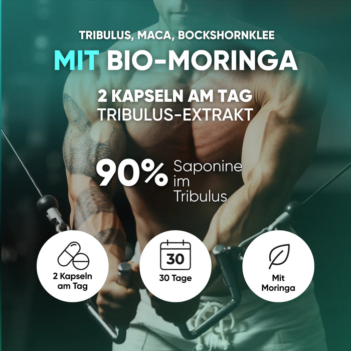 Tribulus, Maca und Bockshornklee mit Bio-Moringa, 2 Kapseln am Tag